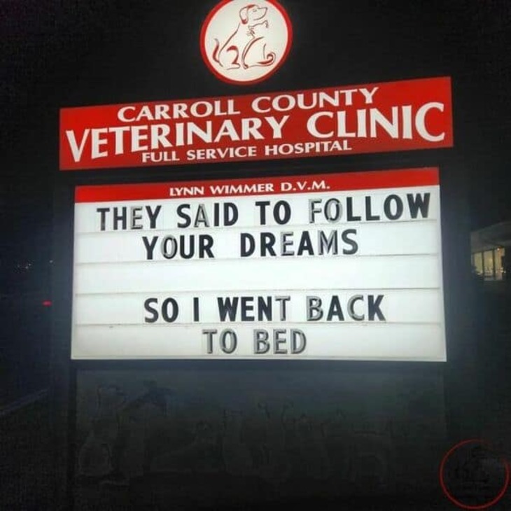 Funniest Vet Signs 