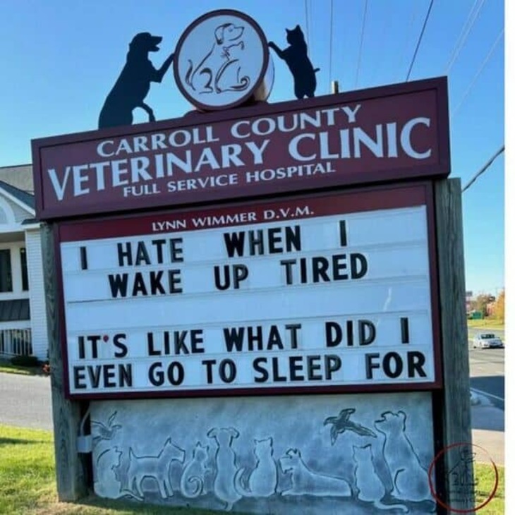 Funniest Vet Signs 