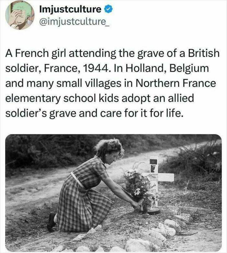  Strange But Fascinating Facts 