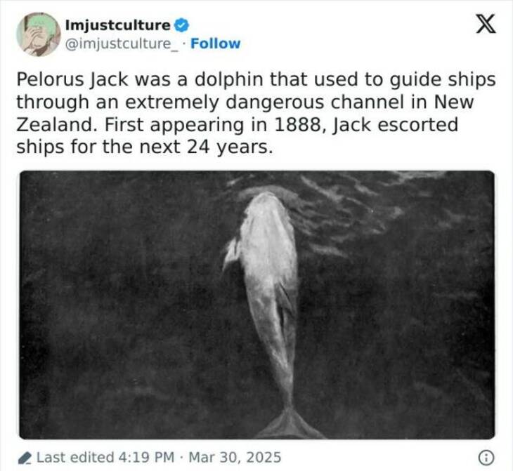 Strange But Fascinating Facts 