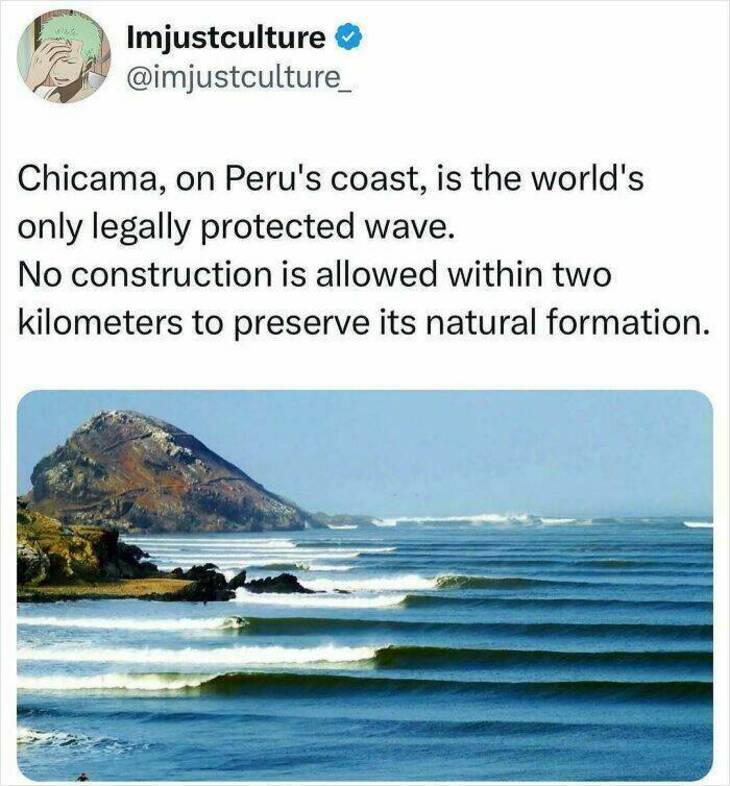  Strange But Fascinating Facts 