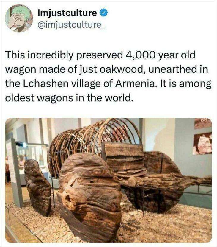  Strange But Fascinating Facts 