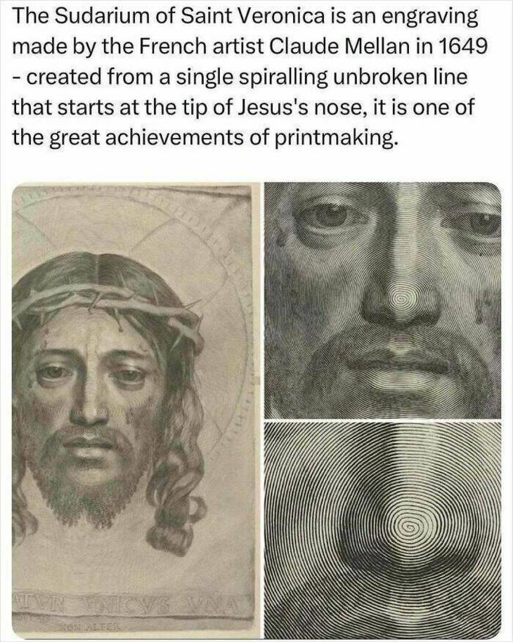  Strange But Fascinating Facts 