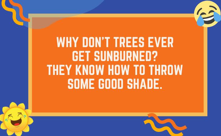 Summer Jokes