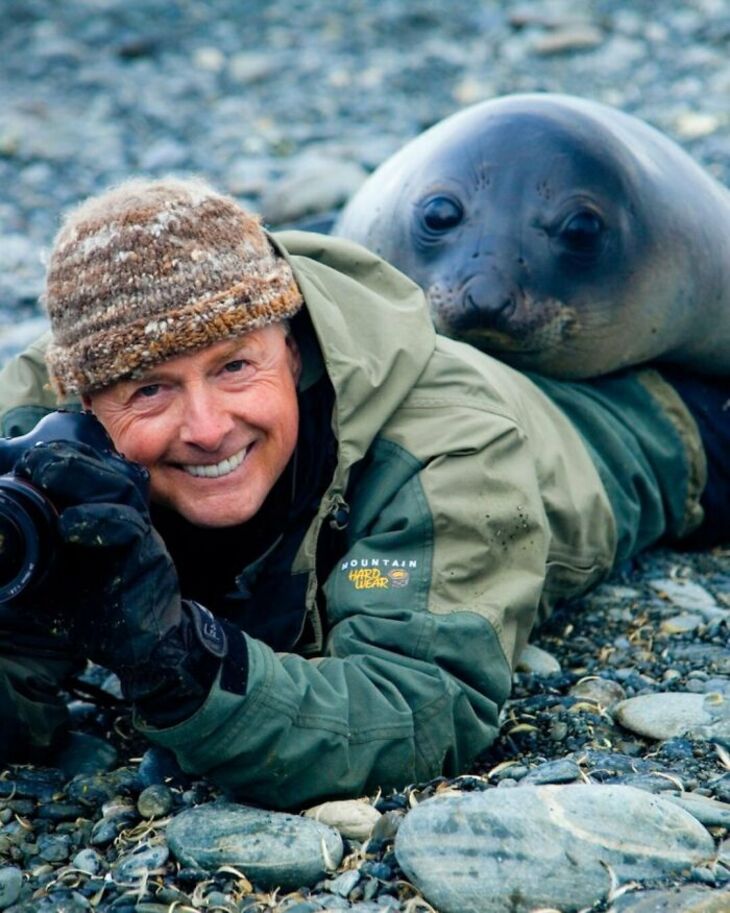 Funny Animals 