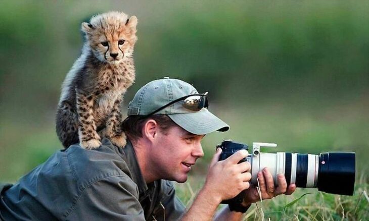Funny Animals 
