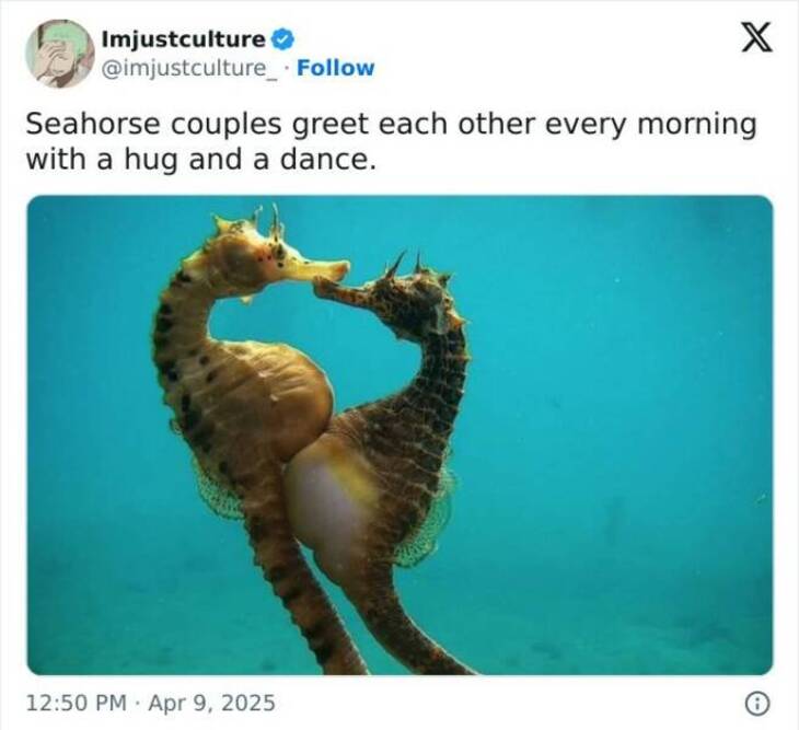  Strange But Fascinating Facts 