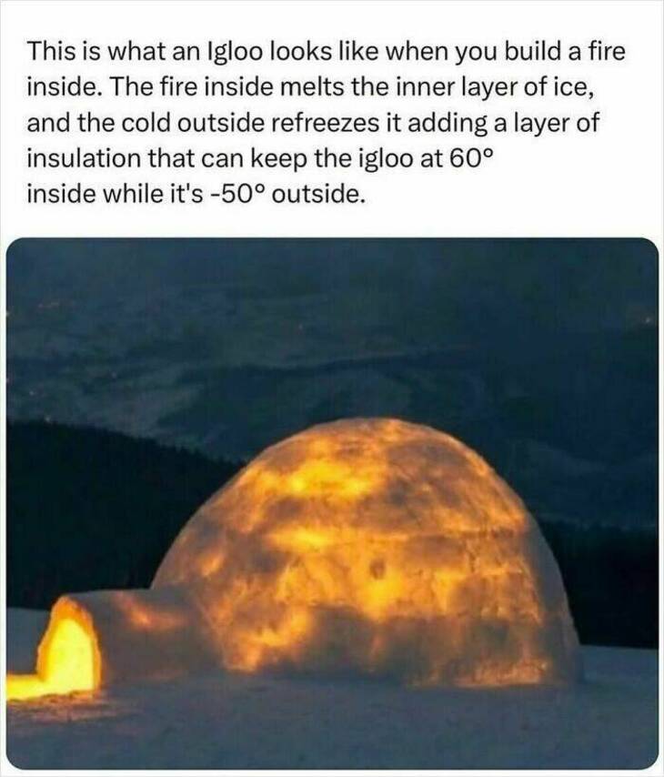  Strange But Fascinating Facts 