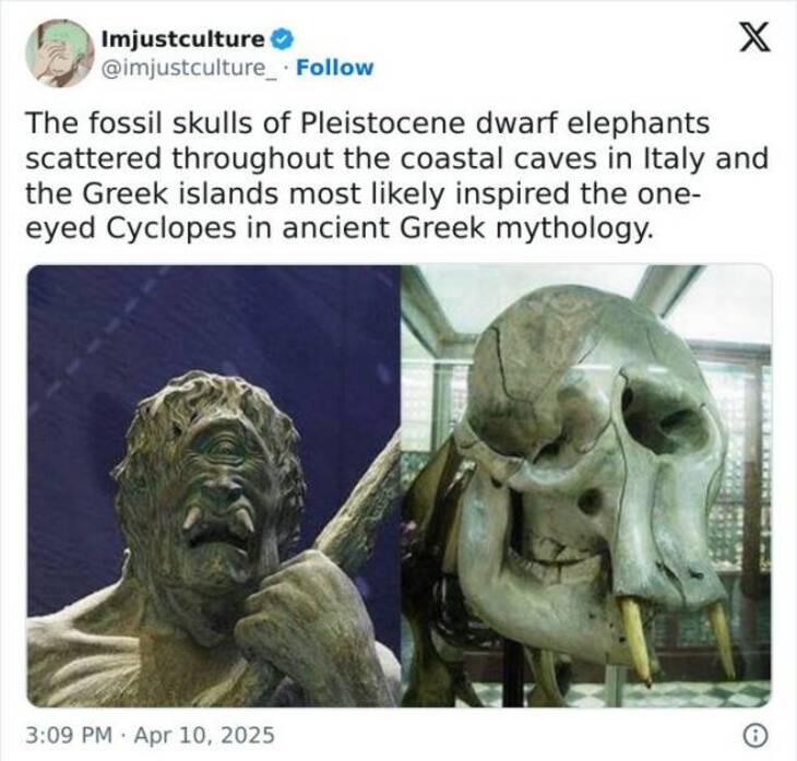  Strange But Fascinating Facts 