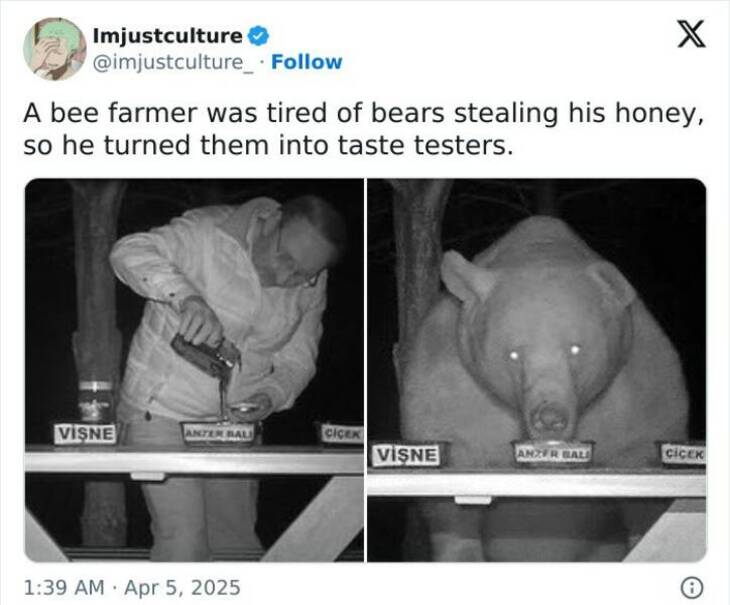  Strange But Fascinating Facts 