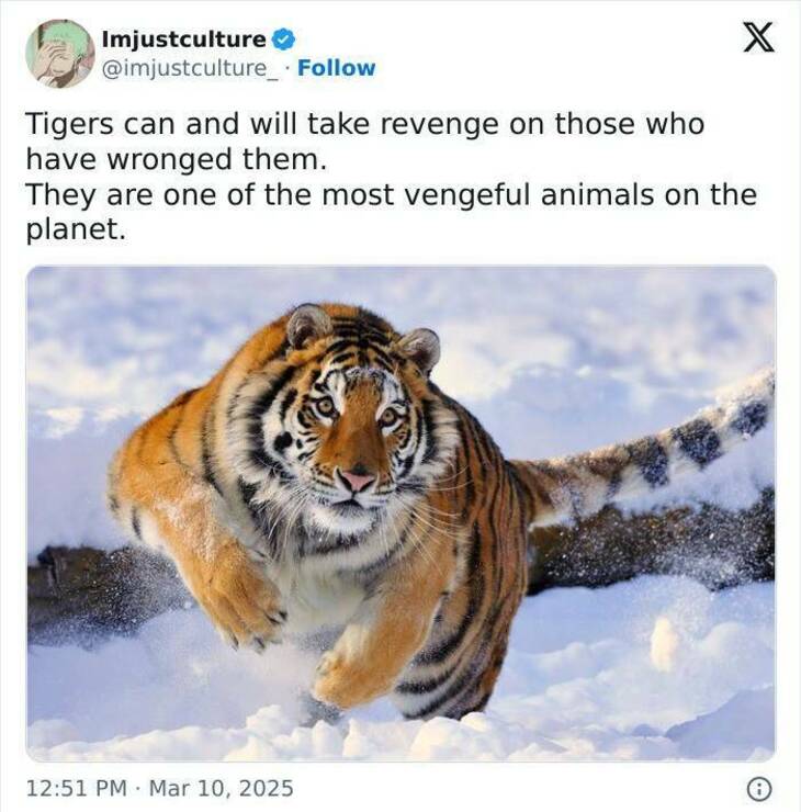 Strange But Fascinating Facts 