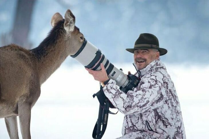 Funny Animals 