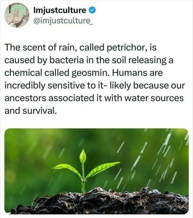  Strange But Fascinating Facts 