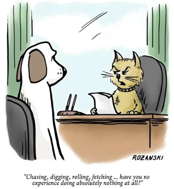 One-Panel Funnies