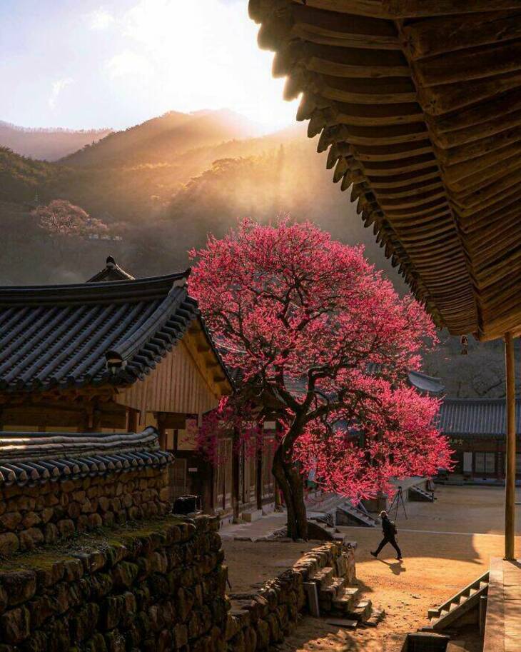 Beautiful Places