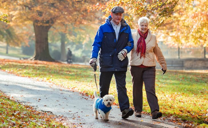 How pets keep our heart healthy: An elderly couple walking with a dog