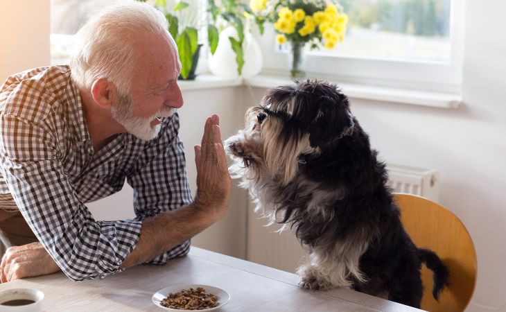 How pets keep our heart healthy: An elderly man giving a high-five to a dog