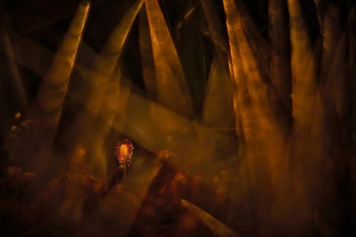 Winning photos from the GDT Nature Photographer competition for 2025: Mushroom