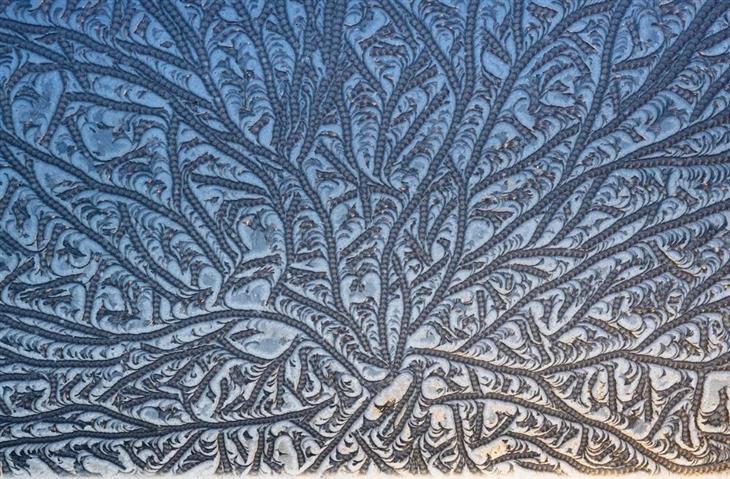 Winning photos from the GDT Nature Photographer competition for 2025: Unique patterns in the snow