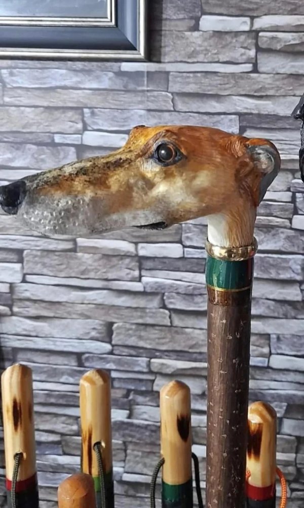 weird and funny designs