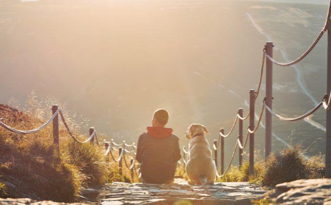 Which animal wakes up in you when you attack you: a man sits alongside a dog in nature