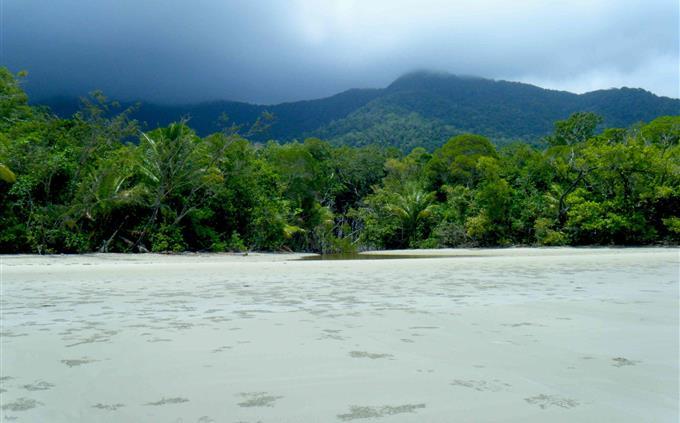 Trivia Places in the World: Dynic Rain Forest