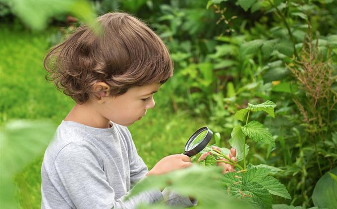 Ink Stain Test: A little girl looks at a plant with a magnifying glass