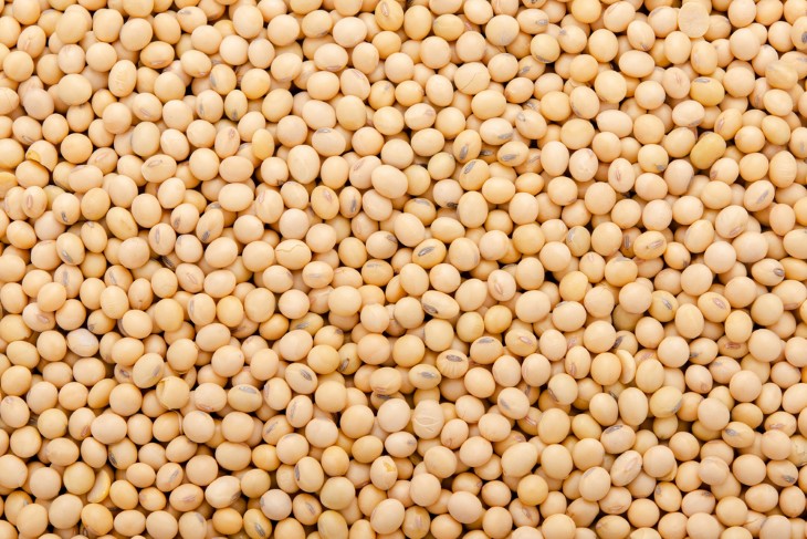 biotin-rich foods