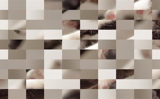 Picture Identification Test