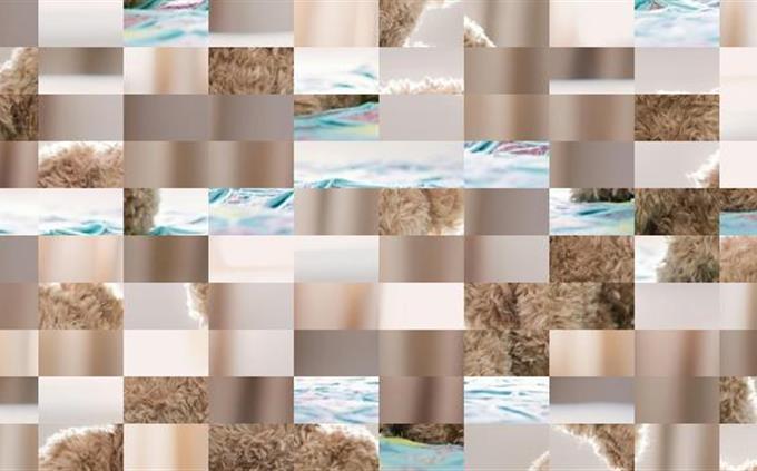 Picture Identification Test