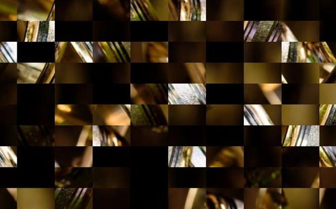 Picture Identification Test