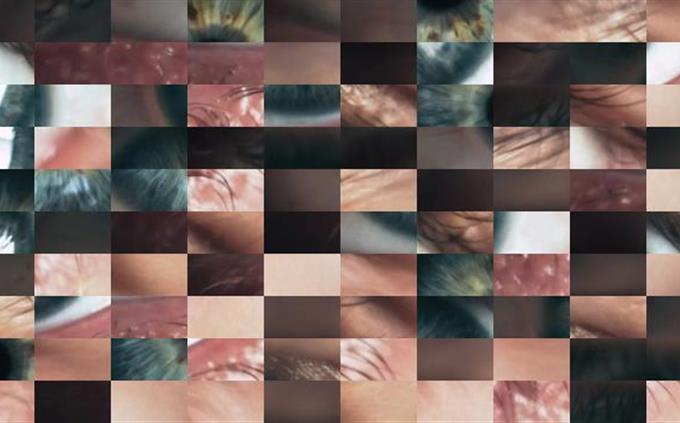 Picture Identification Test