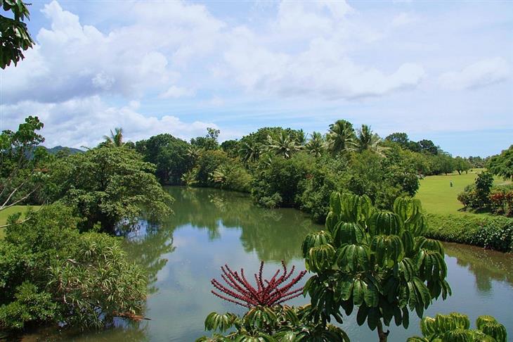 Recommended places in Fiji: Pacific Harbour