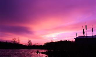 Do you fall in love quickly? sedimentation