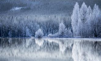 Do you fall in love quickly? A frozen lake