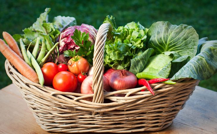 How fruits and vegetables contribute to sleep quality: Vegetables in a basket