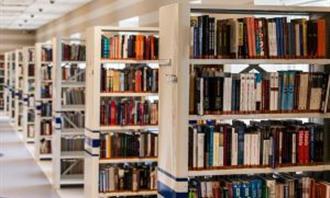 Artificial Intelligence Photo Test: Library