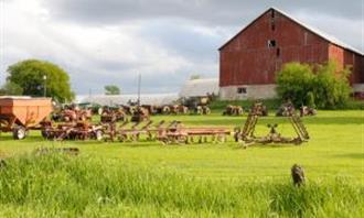 Artificial Intelligence Photo Test: Farm