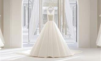 Artificial Intelligence Photo Test: Wedding Dress