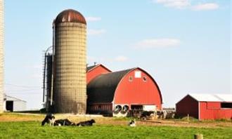Artificial Intelligence Photo Test: Farm