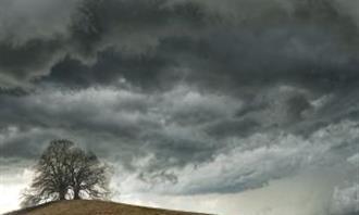Artificial Intelligence Photo Test: Storm Cloud