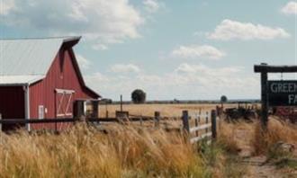 Artificial Intelligence Photo Test: Farm