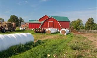 Artificial Intelligence Photo Test: Farm