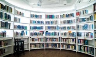 Artificial Intelligence Photo Test: Library