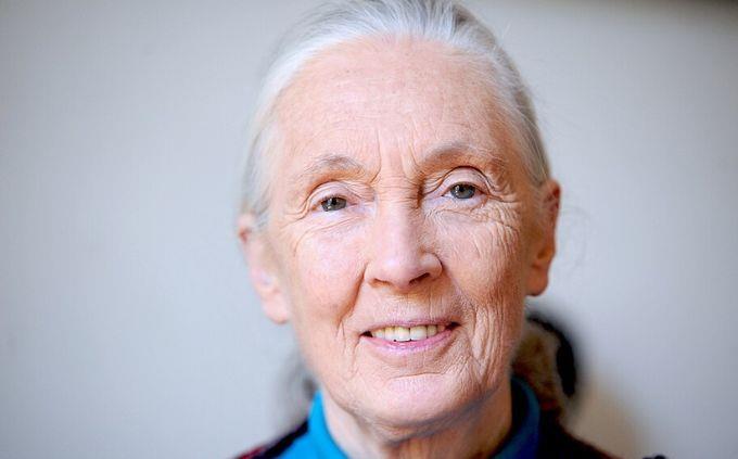 Trivia Women influence history: Jane Goodol