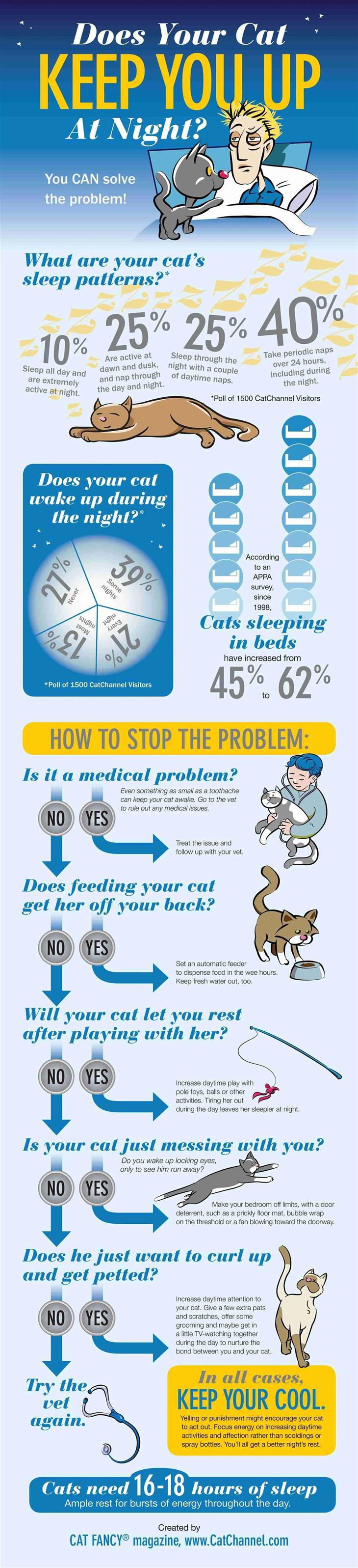 How to Keep Your Cat From Keeping You Up at Night