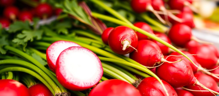 Best Plants to Plant During the Month of October