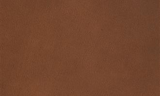 Personality and colors test: Brown