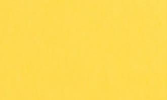 Personality and colors test: yellow