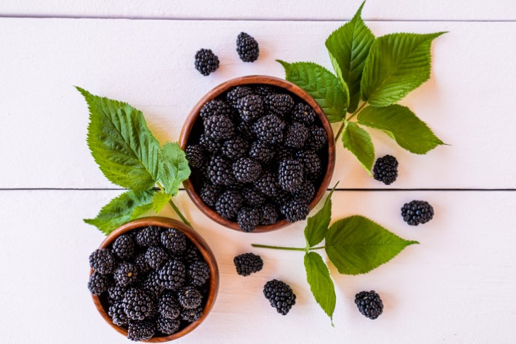 fruits with magnesium
